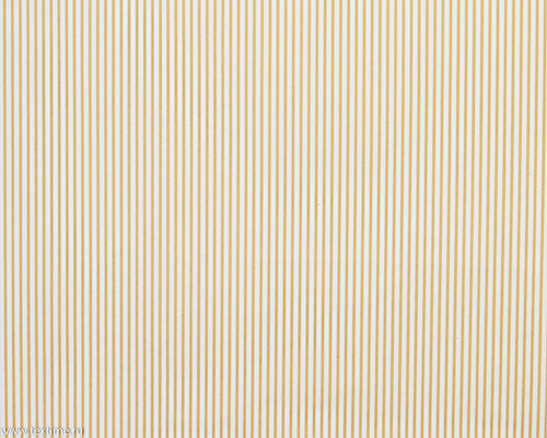 R2765-1-STRIPE-16-GOLD-1424W-TANTARA-CCW
