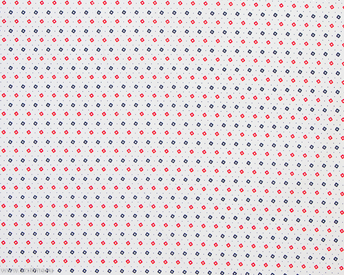 R2781-2-RED-NAVY-TANTARA-CCW-PHOENIX