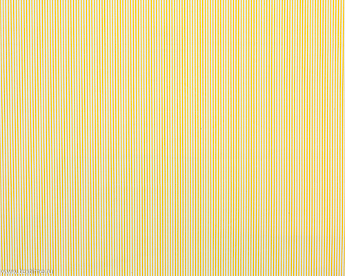R2808-1-STRIPE-9-YELLOW-1527-TEREDO-CCW