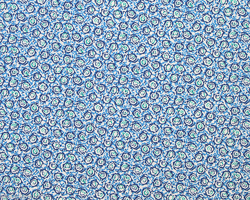 R2858-3-SWIRL-1.-BLUE-EMERALD-1284W-TANTARA-CCW