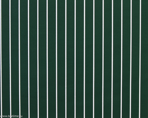 R2912-1-BUTCHERS-STRIPE-GREEN-WHITE-COL-3-GREEN-94X60-ALMEDAHLS