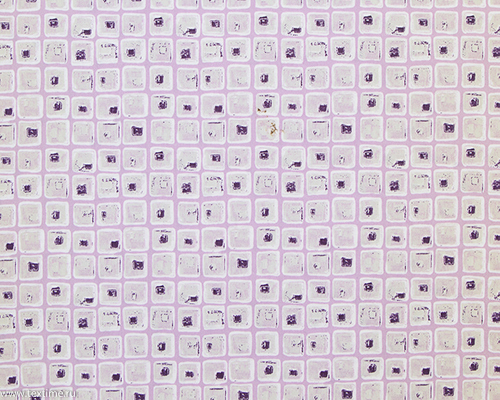 R3048-4-PEBBLE-CHECK-7.-LAVENENDER-TEREDO-OBA-CCW