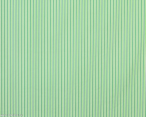 R3973-2-STRIPE-GREEN-9516-TANTARA-PHOENIX-CALICO
