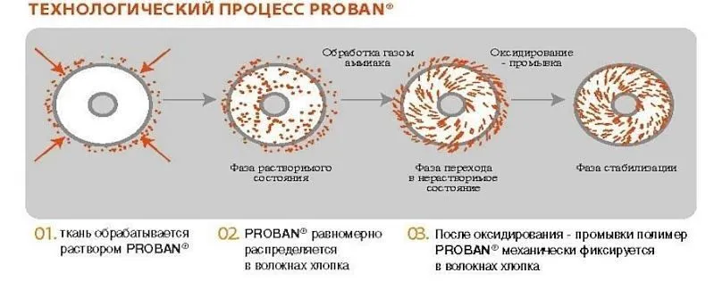 0014.jpg 0014.jpg